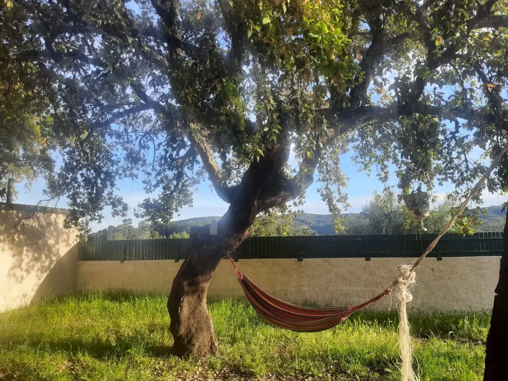 Terraço do Aroma das Tílias com vista para a serra em Proença-a-Nova