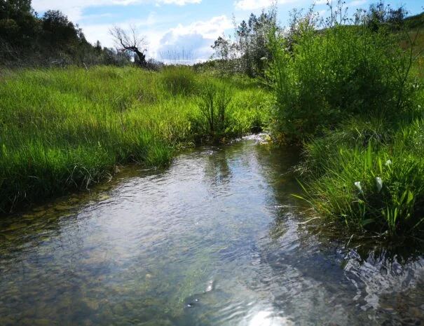 Centro de Ciência Viva da Floresta em Proença-a-Nova — actividades Beira Baixa
