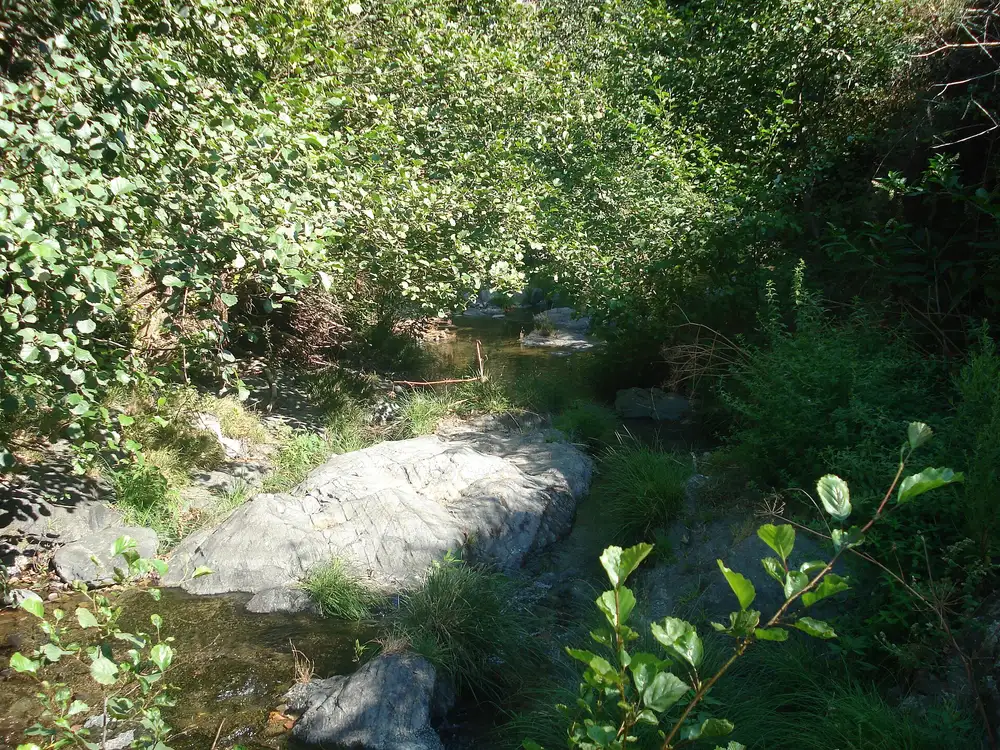 Ribeira do Alvito, a mesma ribeira onde fica a praia fluvial da Cerejeira — Proença-a-Nova