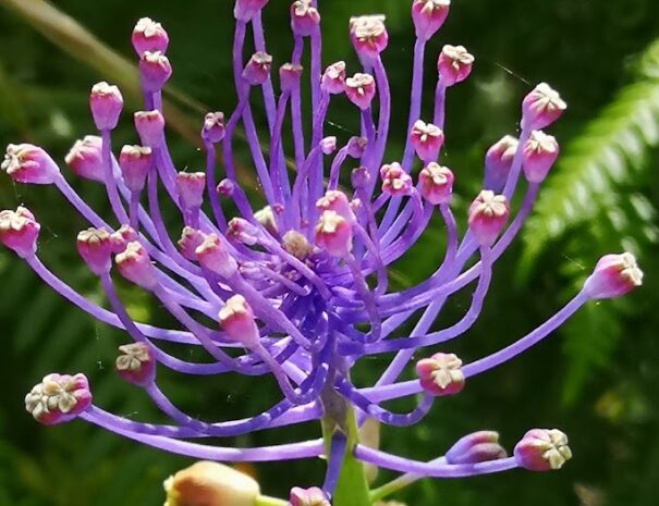 IMG_20200425_162107_1