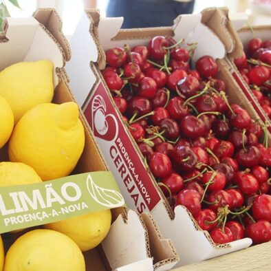 Festival da Cereja e do Limão Proença-a-Nova Alojamento Local Aroma das Tílias