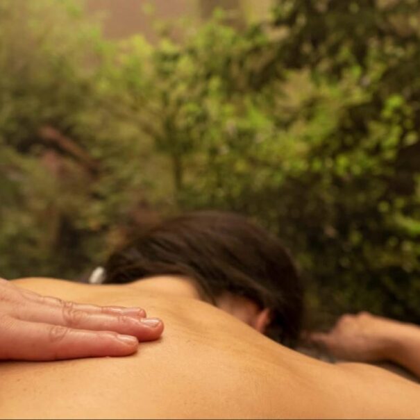Massagem Costas Spa Patricia Esteves Proença-a-Nova
