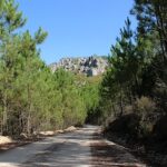 Vista Montanha Rua Floresta Alojamento local em Proença-a-Nova