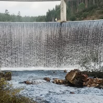 Dique do Malhadal Proença-a-nova